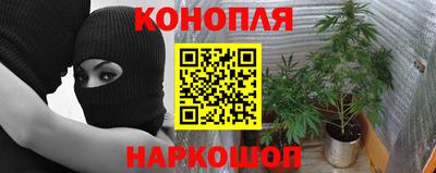 дмт Пыть-Ях